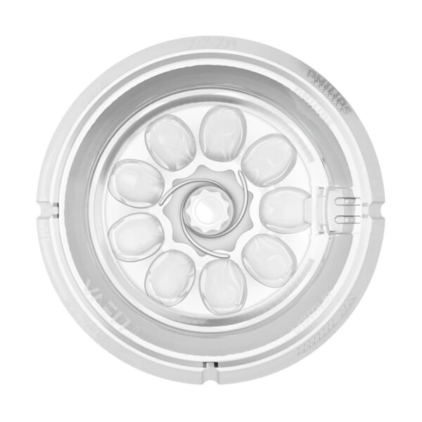 PARA GALERIE TALBORJT