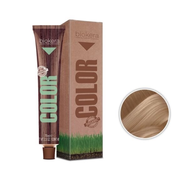 PARA GALERIE TALBORJT