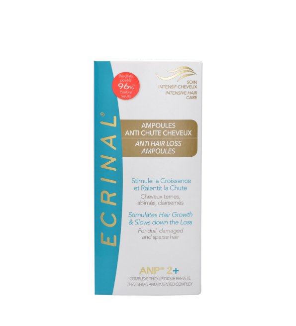 PARA GALERIE TALBORJT