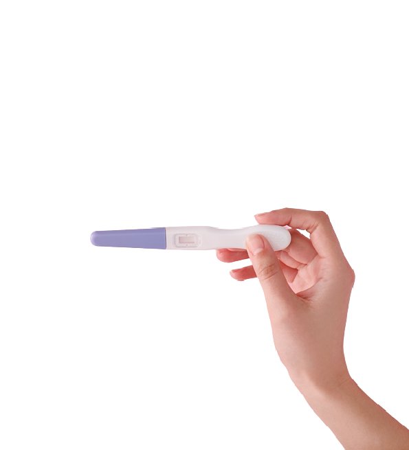 PARA GALERIE TALBORJT